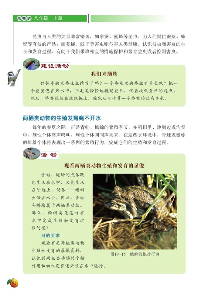 北师大版初中生物初二生物上册动物的生殖和发育第6页