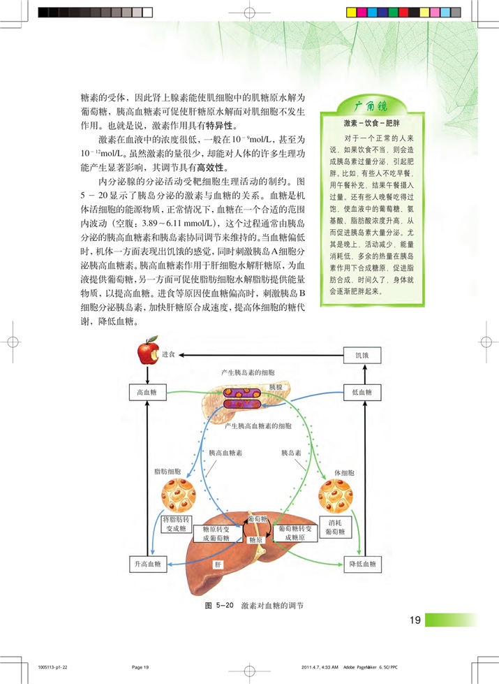 沪科版高中高二生命科学生命科学（第二册）内分泌系统中信息的传递和调节第3页