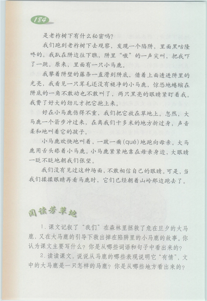 沪教版小学四年级语文上册马鹿有情第2页