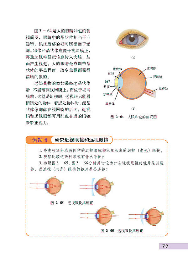 沪科粤教版初中初二物理上册眼睛与光学仪器第1页