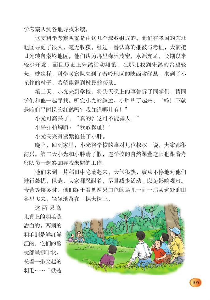 北师大版小学四年级语文下册朱鹮飞回来了 （晏平）第1页