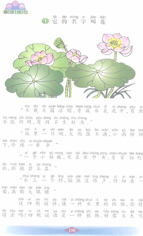 沪教版小学二年级语文下册它的名字叫莲第0页