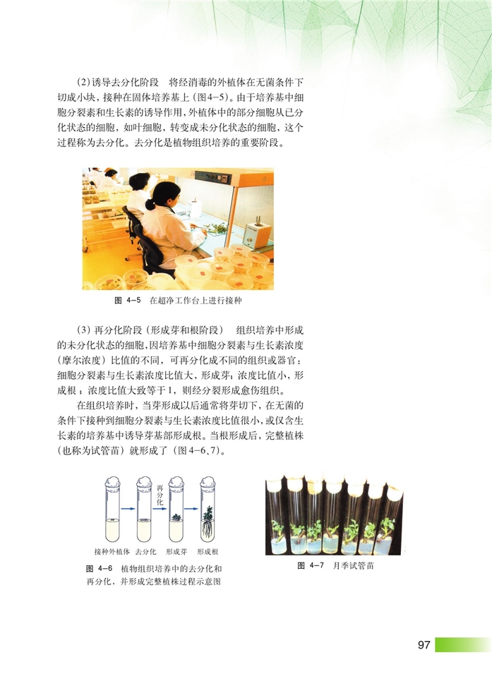 沪科版高中高三生命科学生命科学(拓展)细胞工程第2页