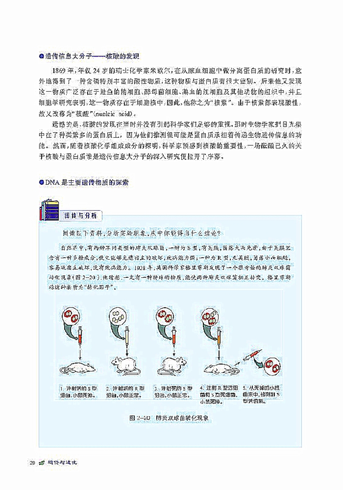 北师大版高中高一生物必修2DNA贮存遗传信息第1页