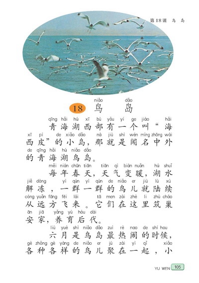 苏教版小学二年级语文下册鸟岛第0页