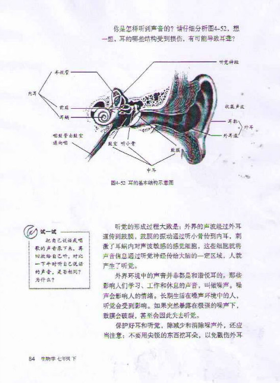 2012部编版七年级生物下册耳和听觉第1页