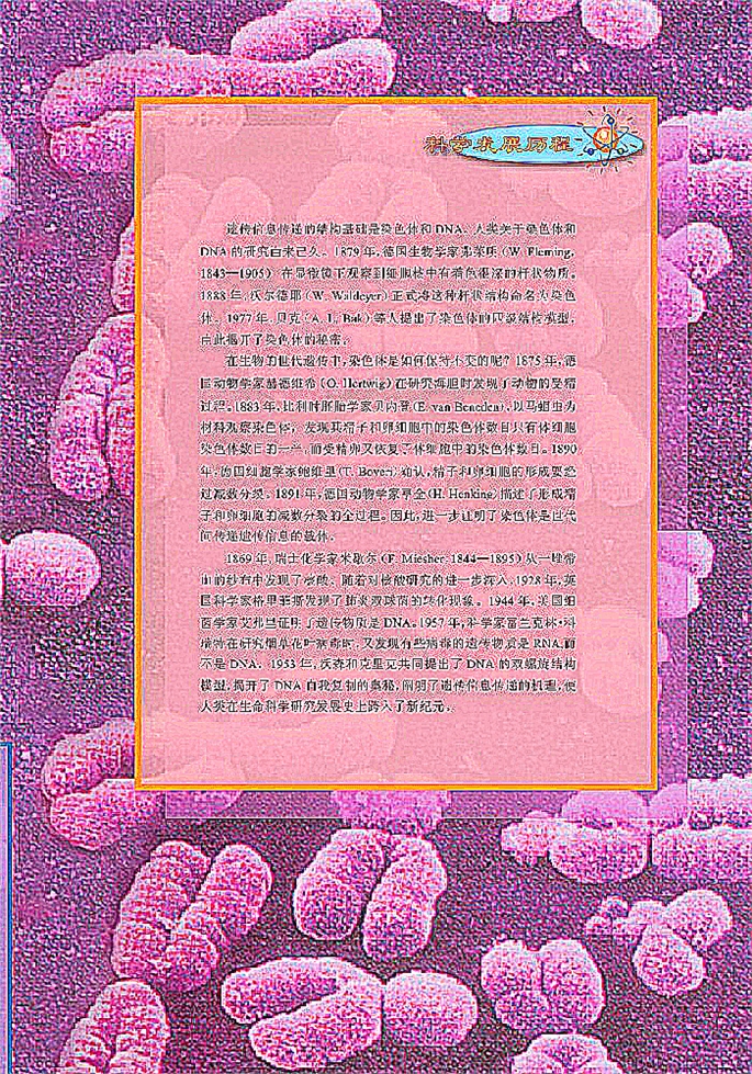 北师大版高中高一生物必修2染色体是遗传信息的载体第0页