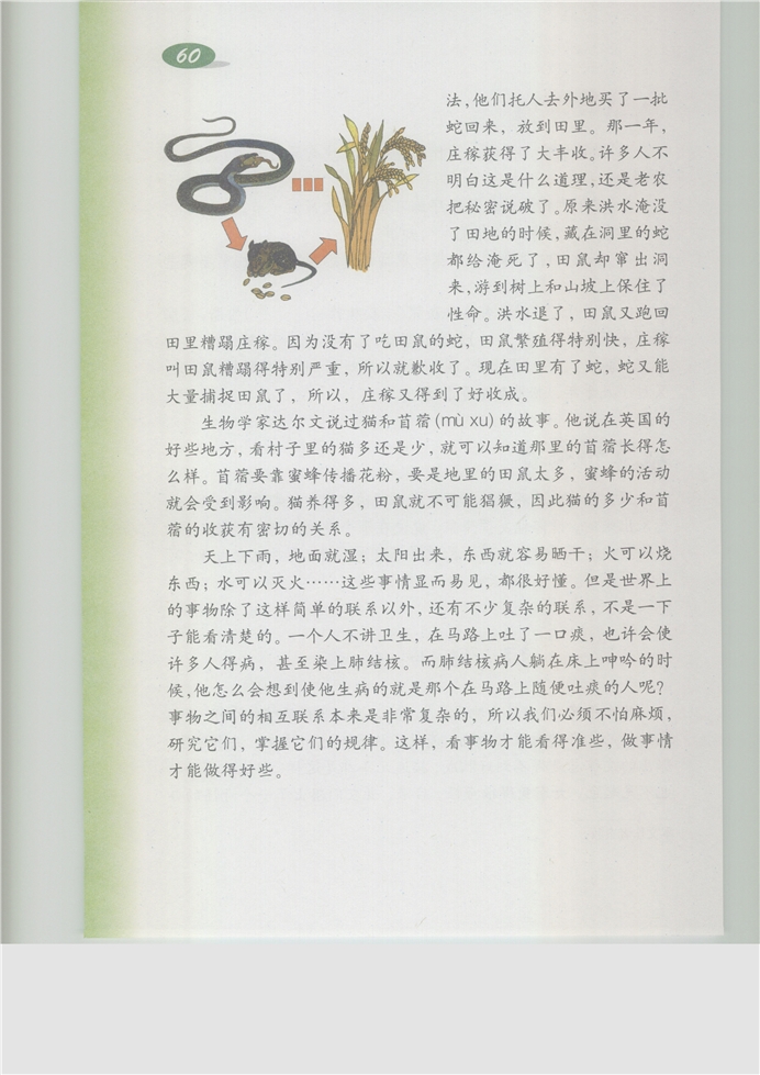 沪教版小学五年级语文上册蛇与庄稼第1页