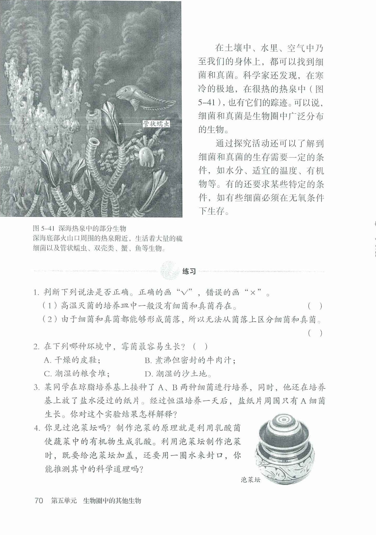 2013部编版八年级生物上册探究 检测不同环境中的细菌和真菌第2页