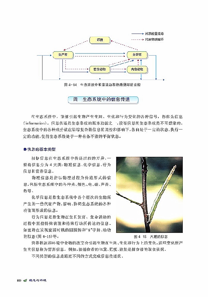 北师大版高中高二生物必修3生态系统是一个相对稳定的系统第10页