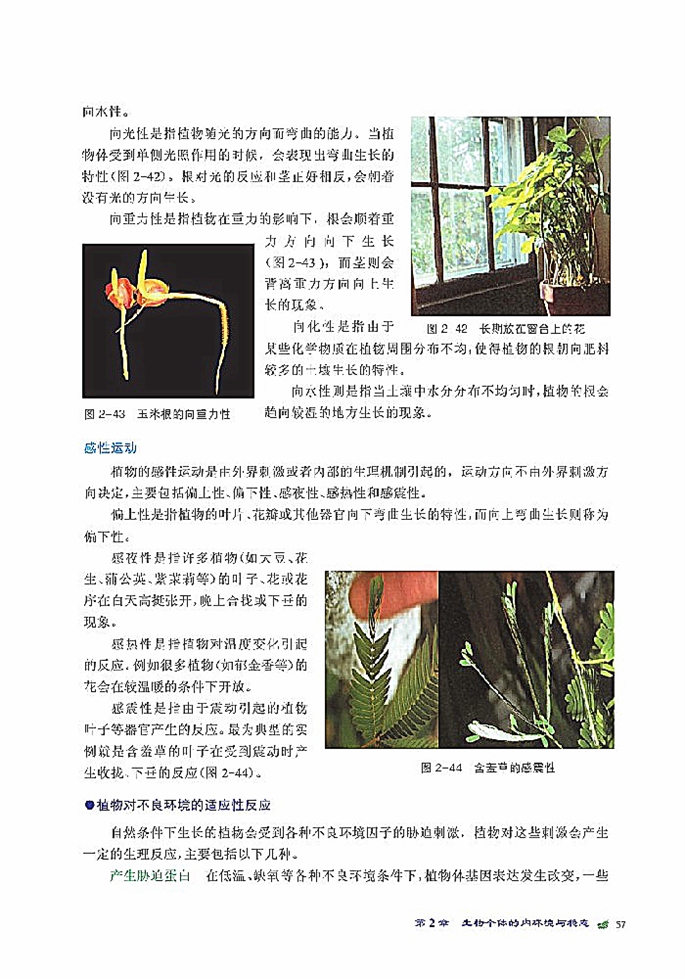 北师大版高中高二生物必修3植物生命活动的调节第1页