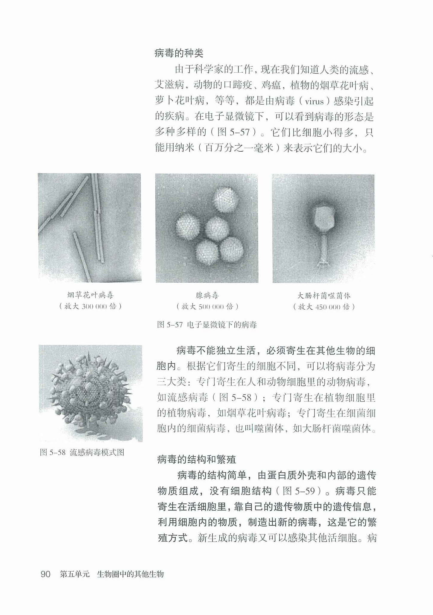 2013部编版八年级生物上册病毒的种类第0页