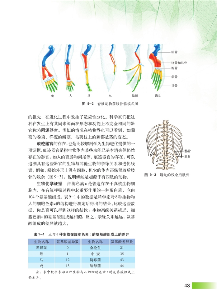 沪科版高中高三生命科学生命科学（第三册）生物进化第1页