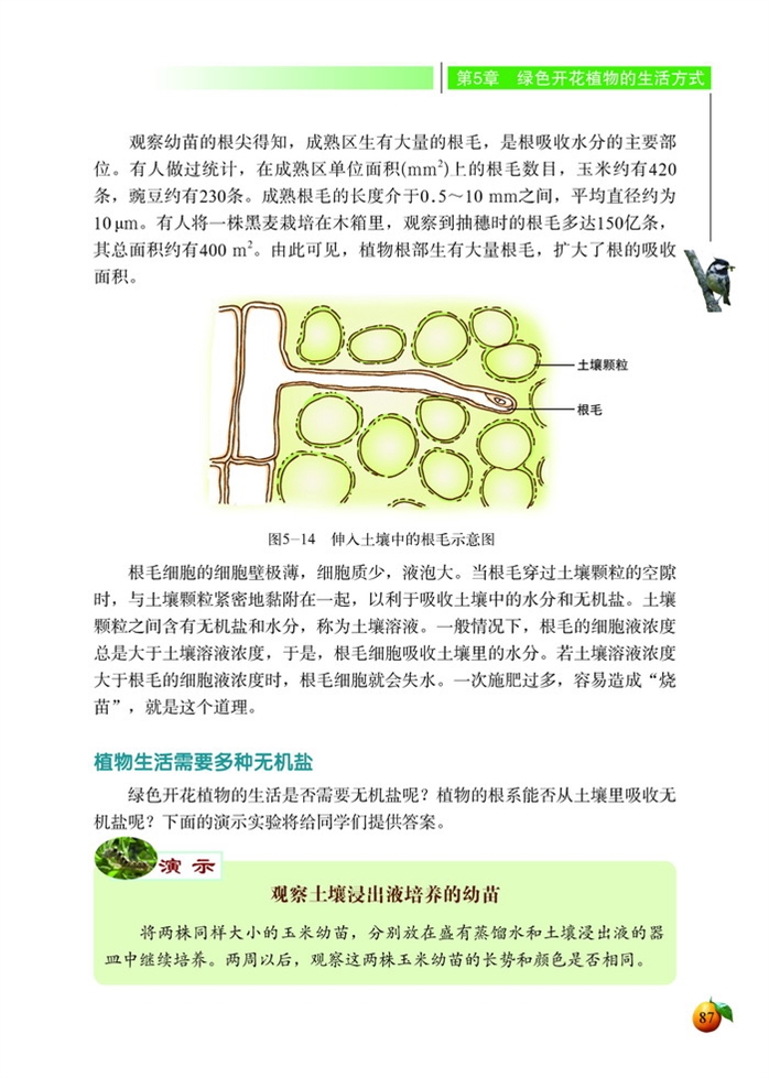 北师大版初中生物初一生物上册吸收作用第2页