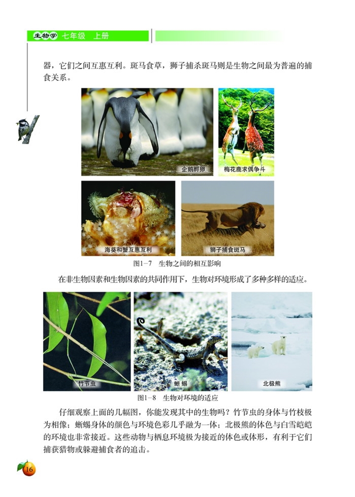 北师大版初中生物初一生物上册生物与环境的相互影响第2页