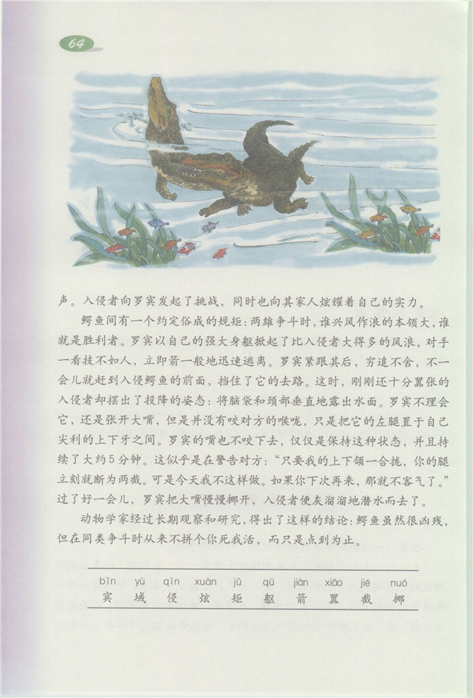 沪教版小学三年级语文下册4 照片里的故事第77页
