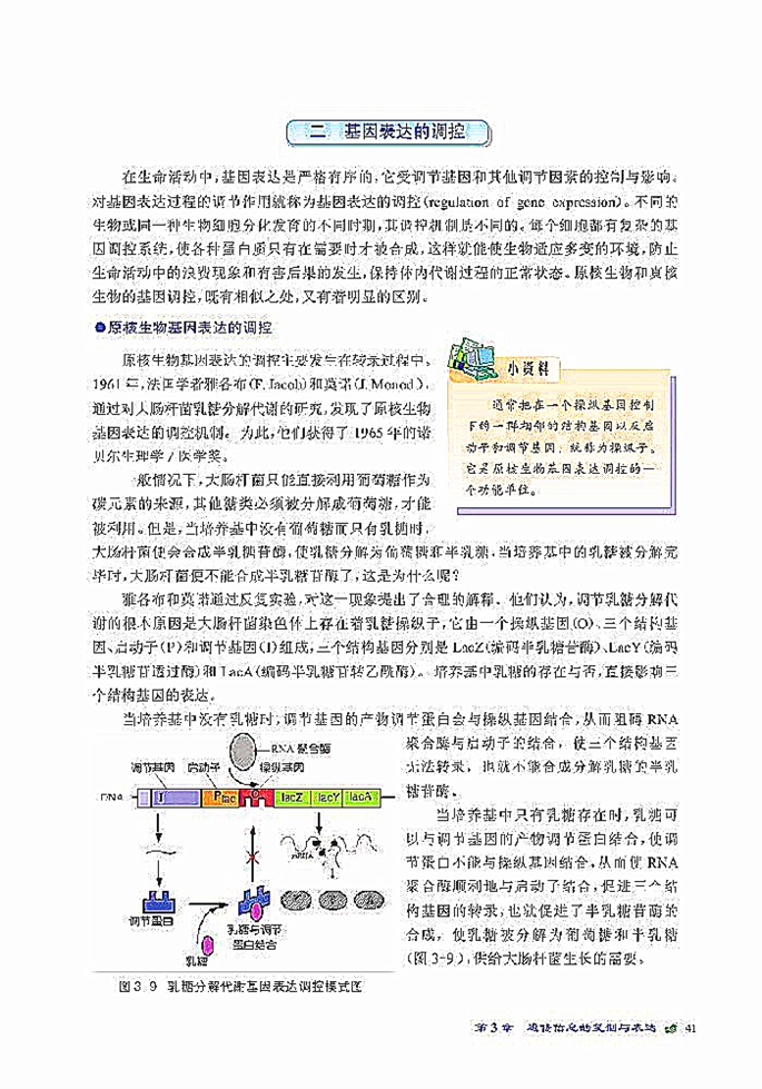 北师大版高中高一生物必修2遗传信息的表达第5页