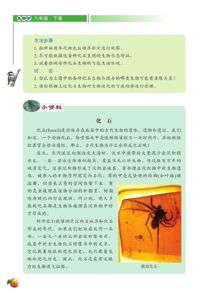 北师大版初中生物初二生物下册生物的进化第3页