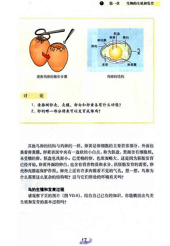 人教版初中初二生物下册鸟的生殖和发育第1页