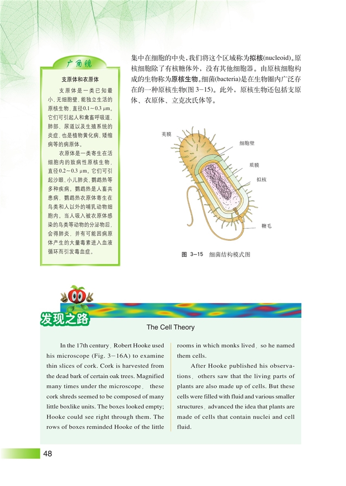 沪科版高中高一生命科学生命科学（第一册）生命结构基础第13页