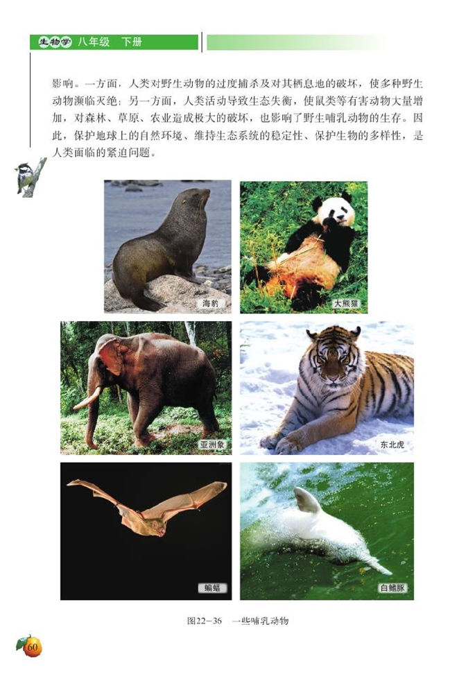 北师大版初中生物初二生物下册动物的主要类群第15页