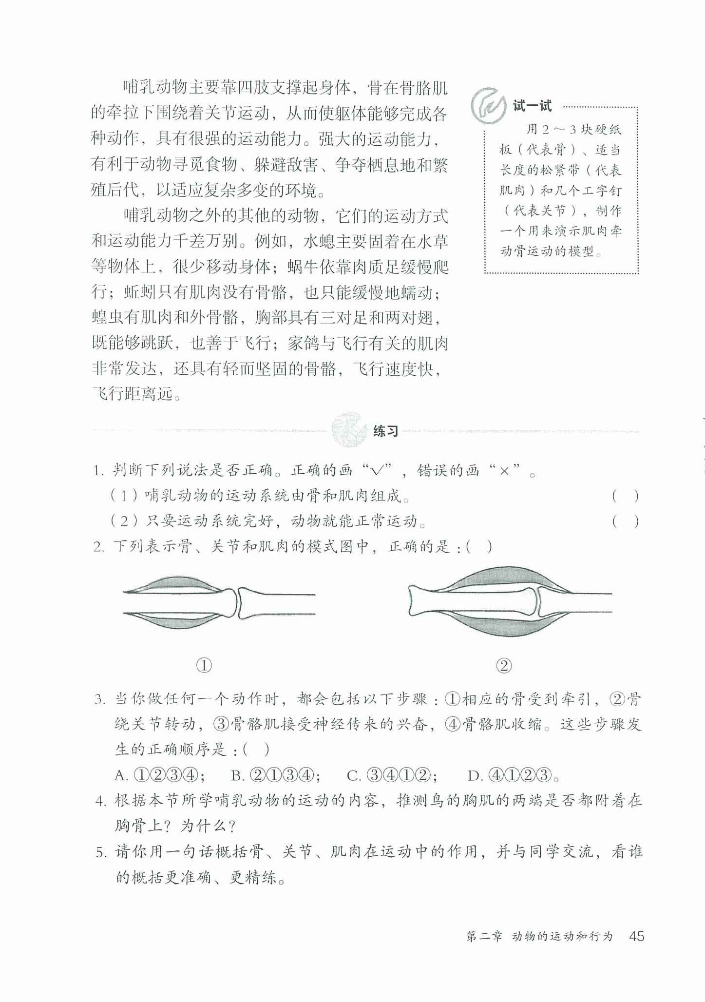 2013部编版八年级生物上册骨、关节和肌肉的协调配合第1页