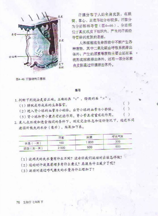 2012部编版七年级生物下册尿的形成和排出第3页