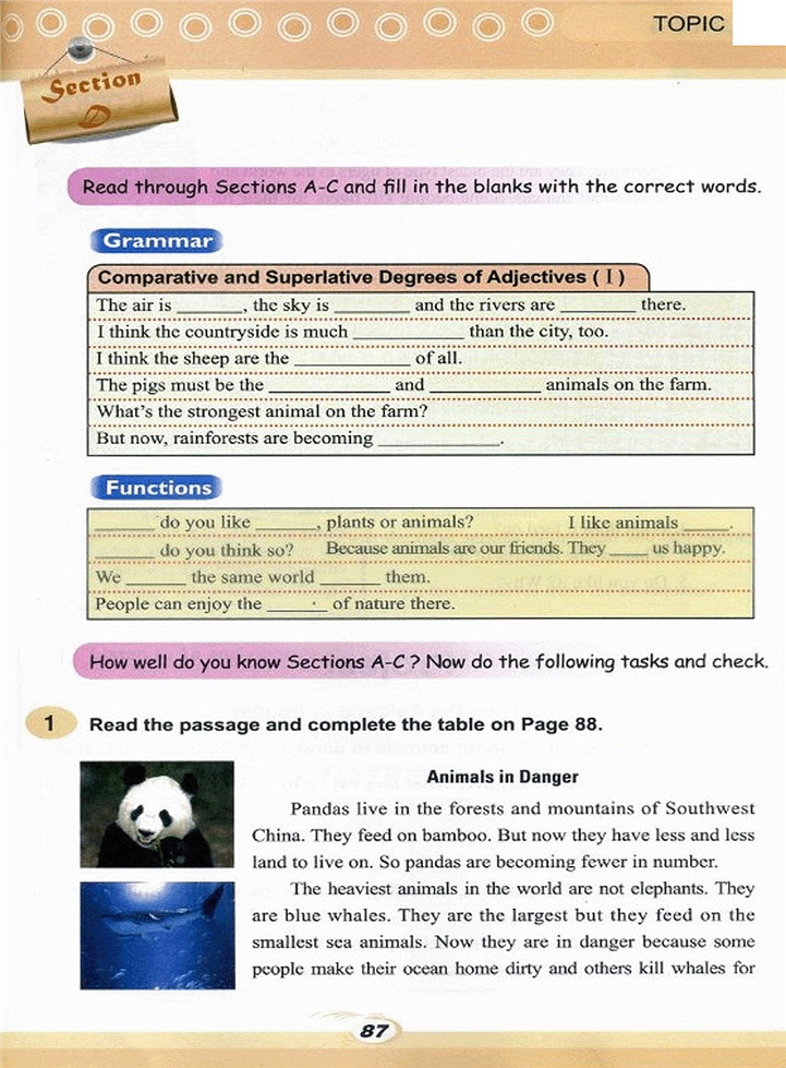 仁爱版初中初二英语上册Which do you li…第7页