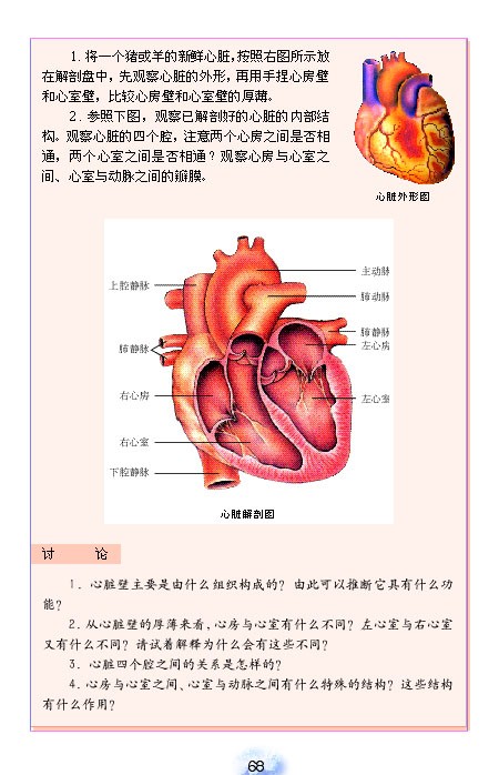 七年级下册生物心脏图片