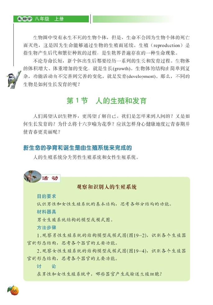 北师大版初中生物初二生物上册人的生殖和发育第0页