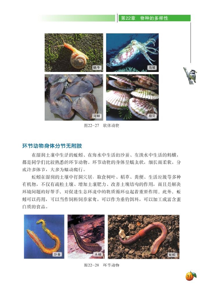 北师大版初中生物初二生物下册动物的主要类群第6页
