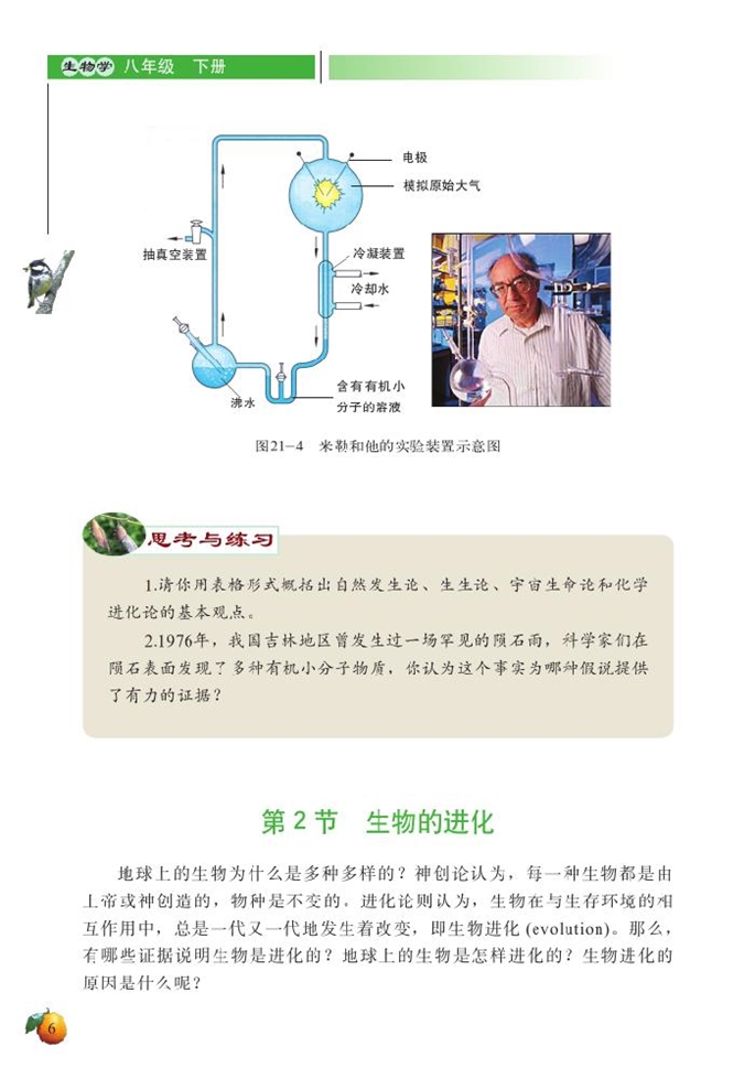 北师大版初中生物初二生物下册生物的进化第0页