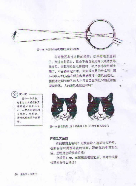 2012部编版七年级生物下册眼和视觉第1页