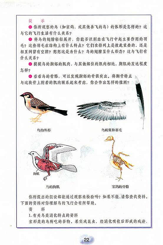 人教版初中初二生物上册控中飞行的动物第2页