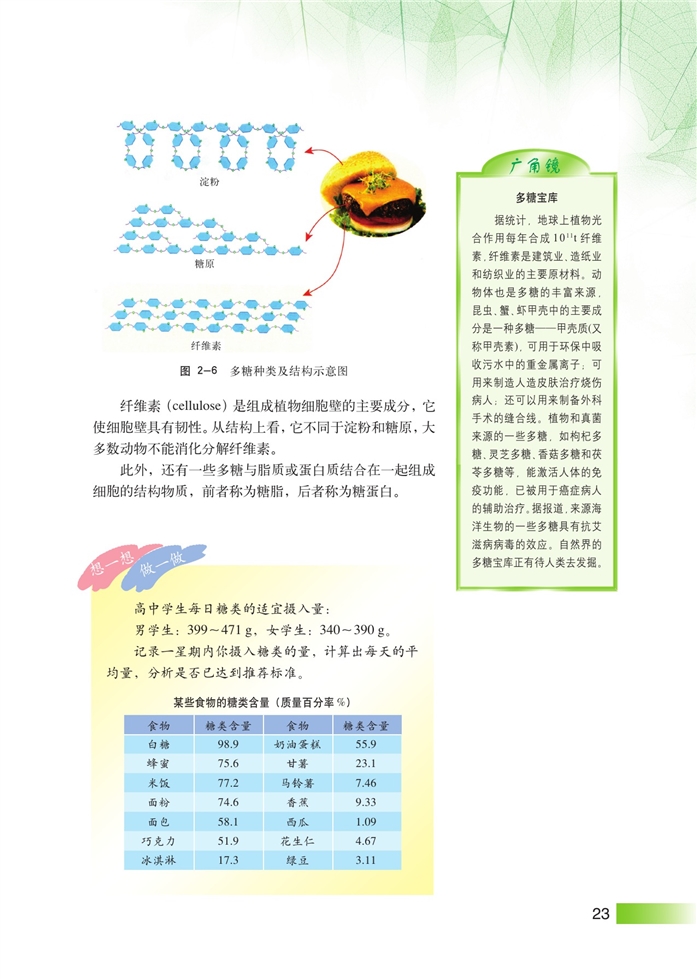 沪科版高中高一生命科学生命科学（第一册）生物体中的有机化合物第3页