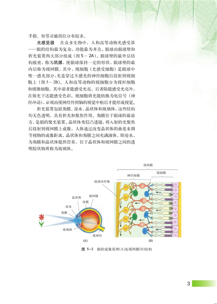 沪科版高中高二生命科学生命科学（第二册）动物对外界信息的获取第1页