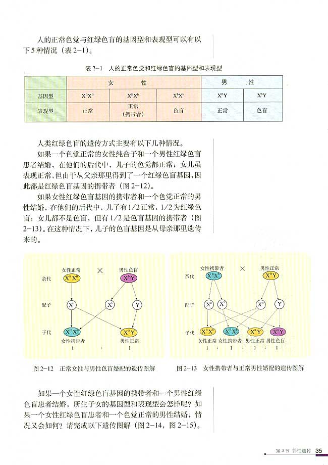 人教版高中高二生物必修2伴性遗传第2页