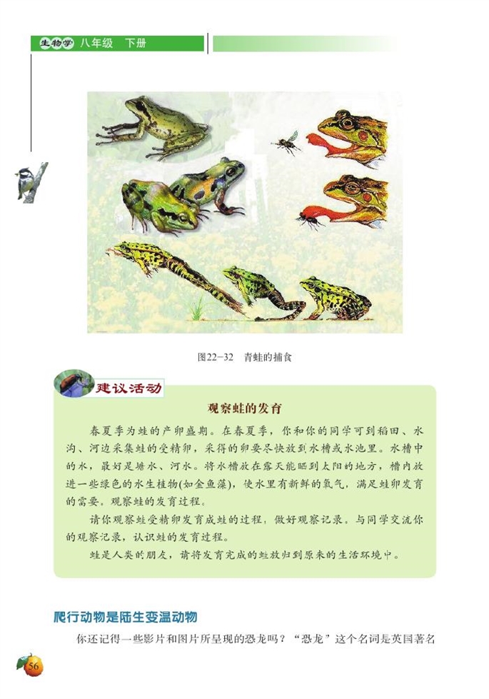 北师大版初中生物初二生物下册动物的主要类群第11页