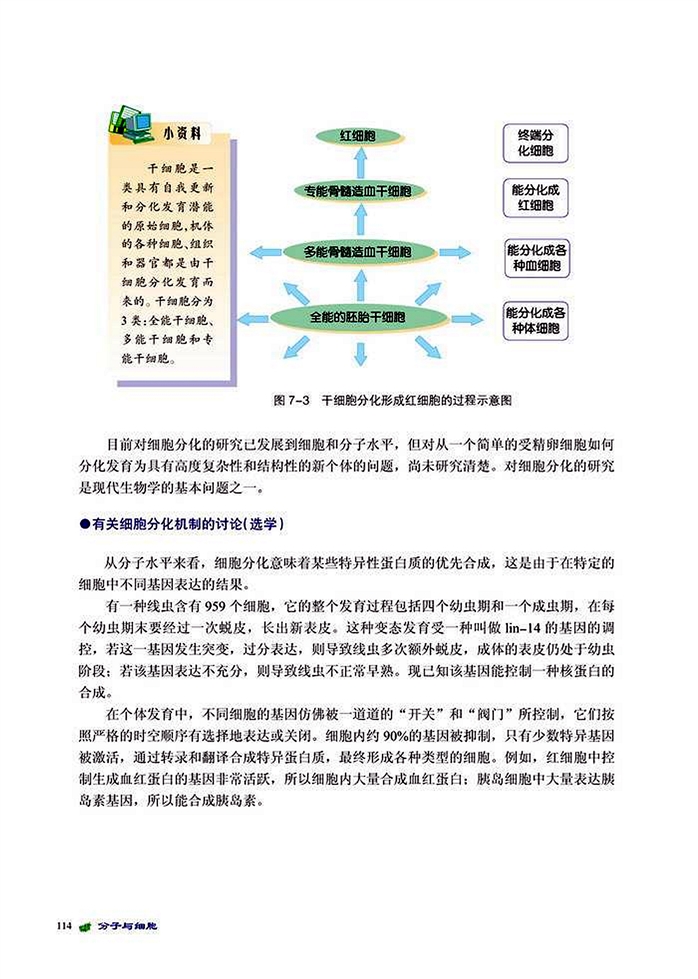 北师大版高中高一生物必修1细胞的分化第2页