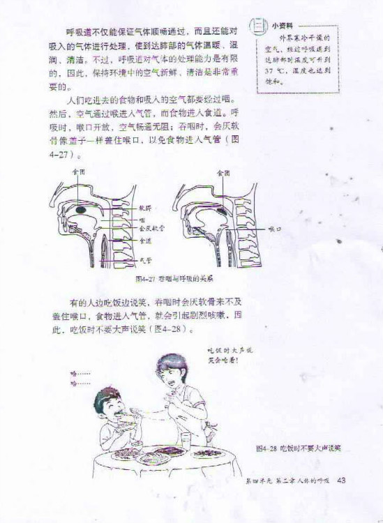 2012部编版七年级生物下册呼吸道德作用第1页