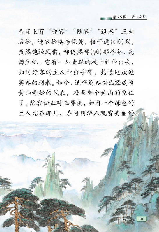 苏教版小学五年级语文上册黄山奇松第2页