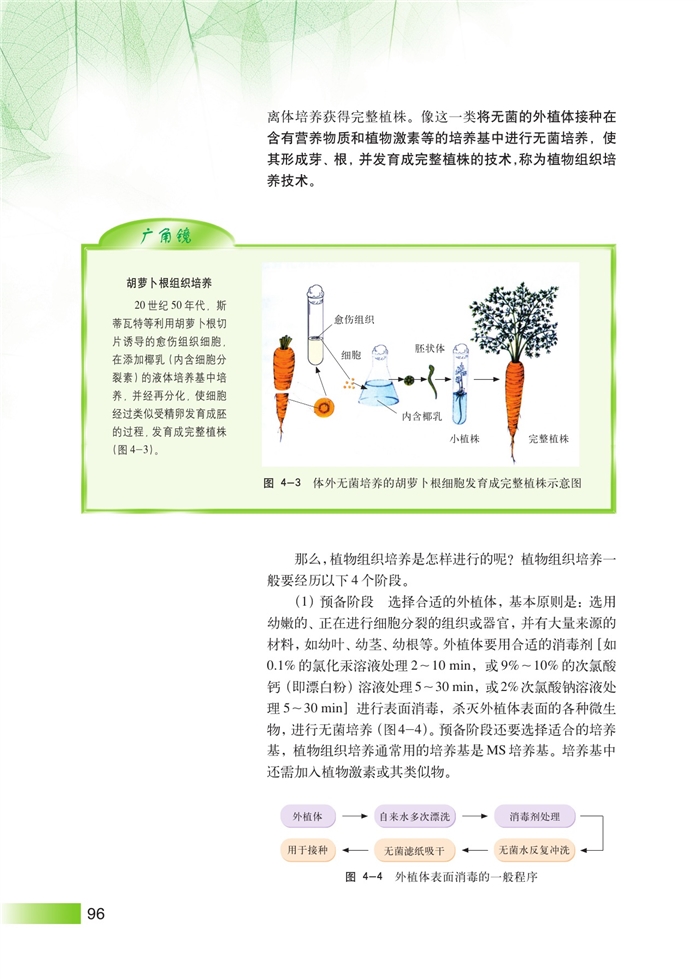 沪科版高中高三生命科学生命科学(拓展)细胞工程第1页