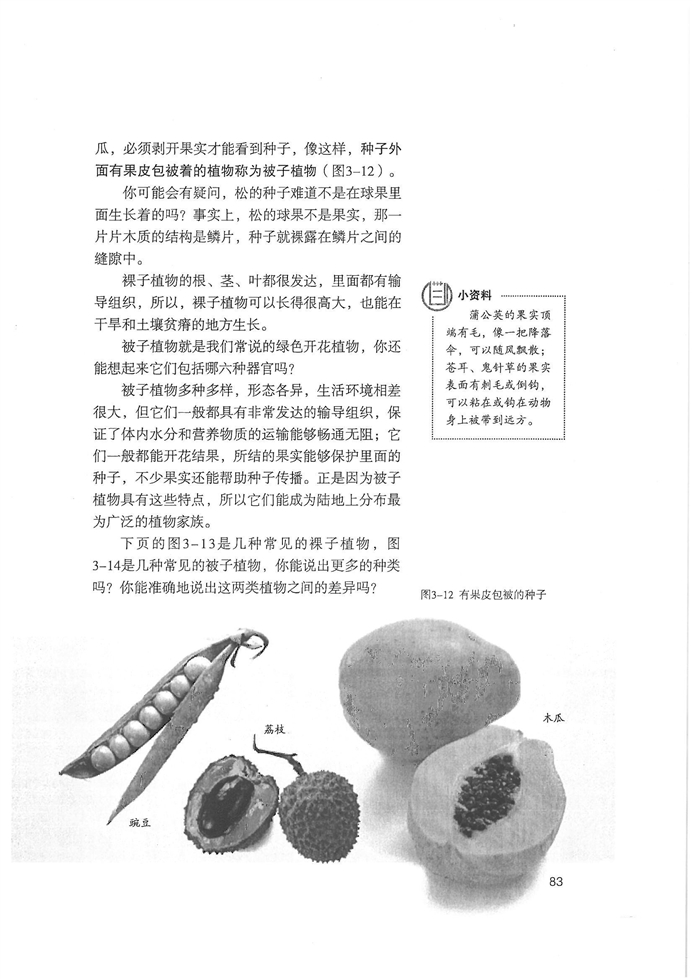人教版初中初一生物上册种子植物第4页