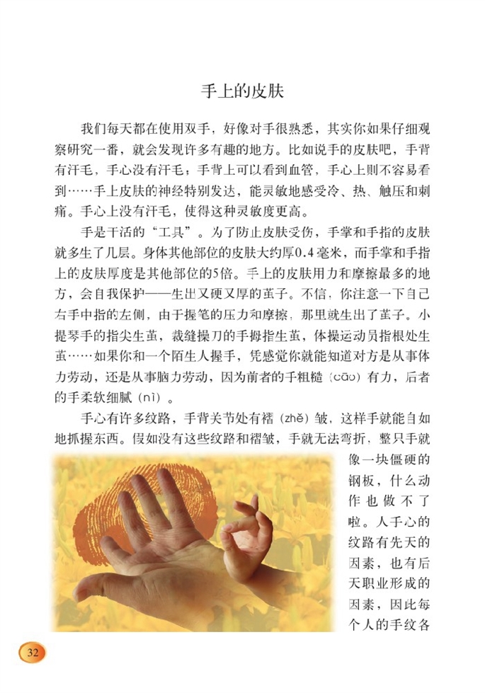 北师大版小学四年级语文下册手上的皮肤第0页