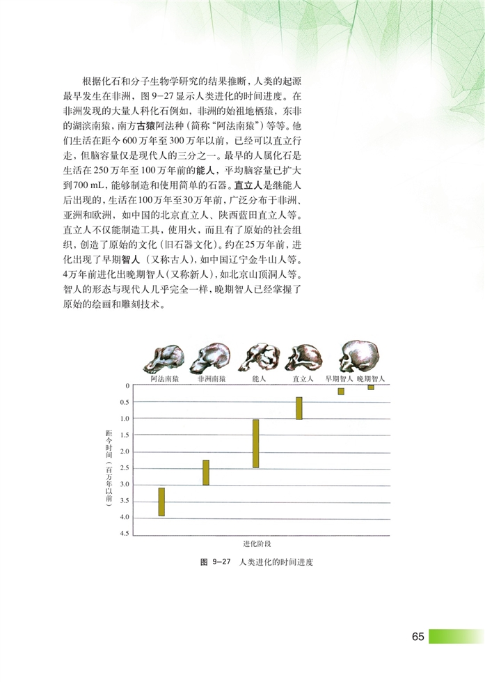 沪科版高中高三生命科学生命科学（第三册）人类的起源和发展第2页