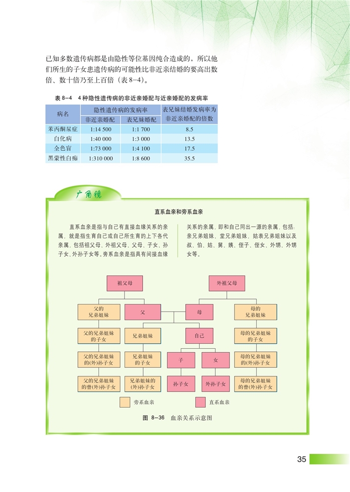 沪科版高中高三生命科学生命科学（第三册）人类遗传病和遗传病预防第4页