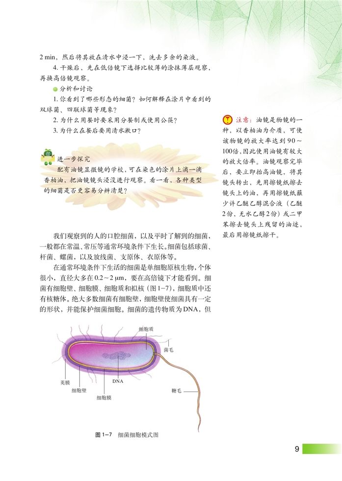 沪科版高中高三生命科学生命科学(拓展)显微镜下的微生物第1页