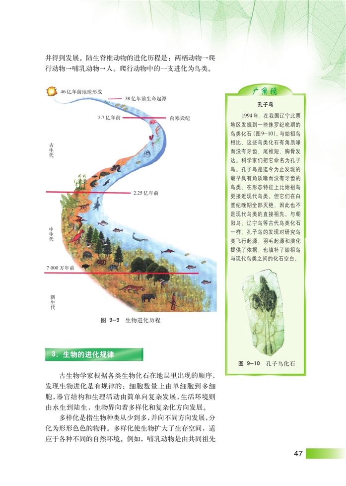 沪科版高中高三生命科学生命科学（第三册）生物进化第5页