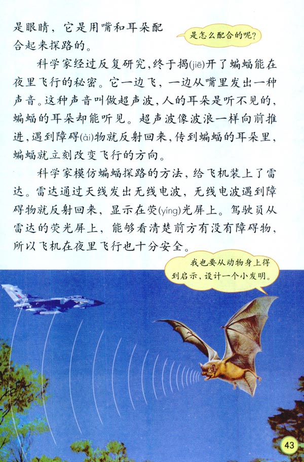 人教版四年级语文下册11.蝙蝠和雷达第1页