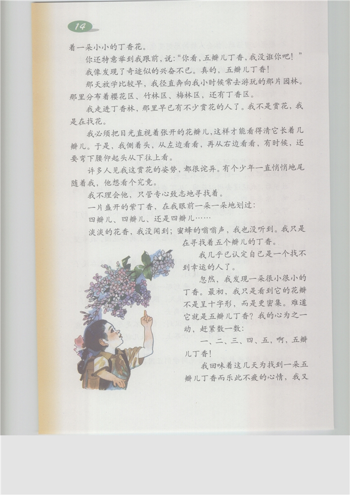 沪教版小学五年级语文上册寻找幸运花瓣第1页